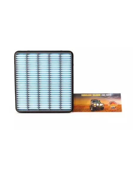 Filtre à air Terrain Tamer 17801-51020