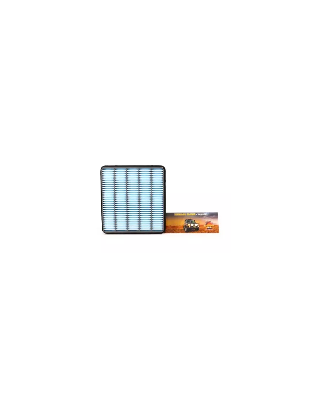 Filtre à air Terrain Tamer 17801-51020