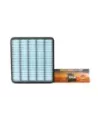 Filtre à air Terrain Tamer 17801-51020