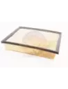 Filtre à air Terrain Tamer 17801-0L040