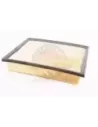 Filtre à air Terrain Tamer 17801-0L040