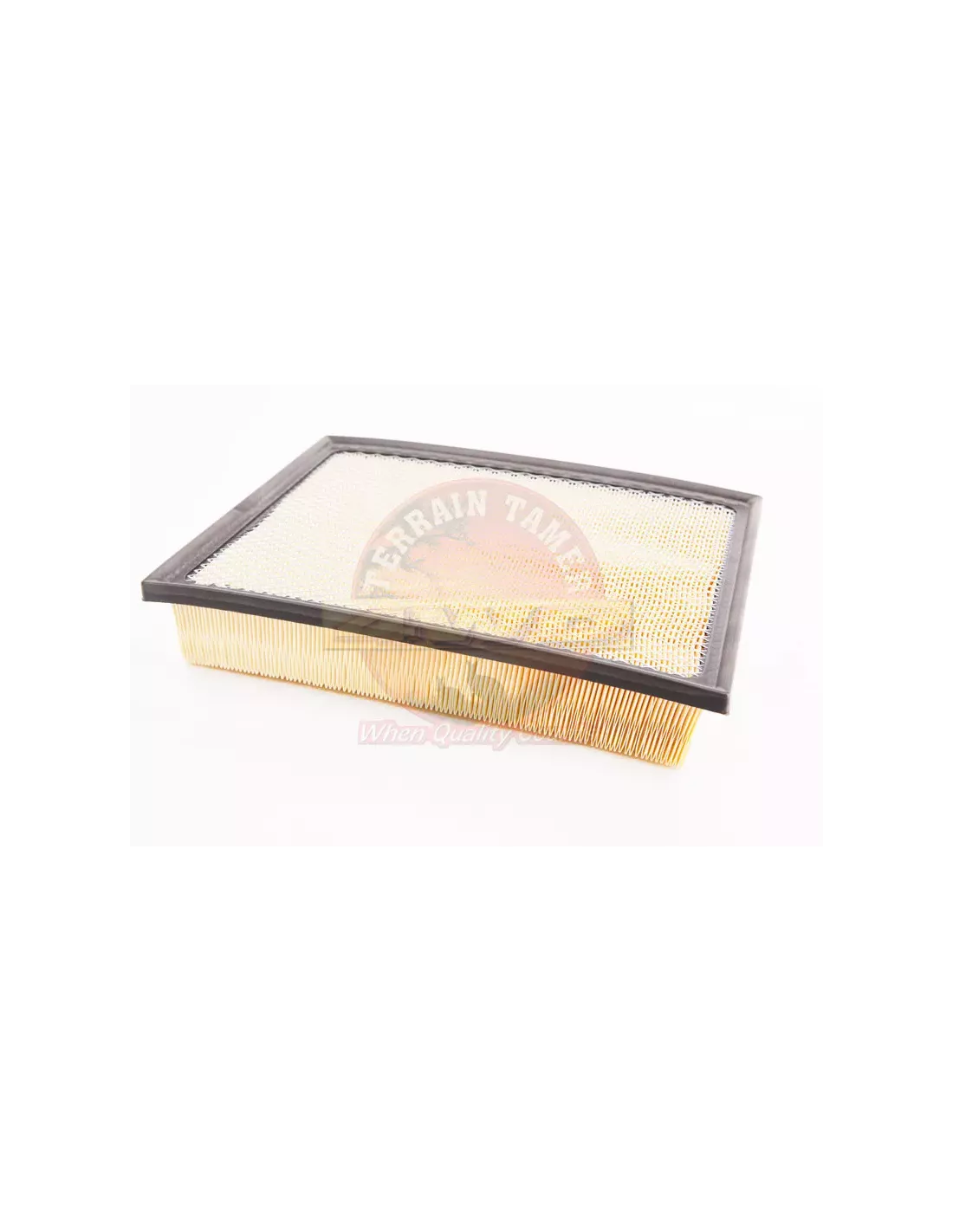 Filtre à air Terrain Tamer 17801-0L040