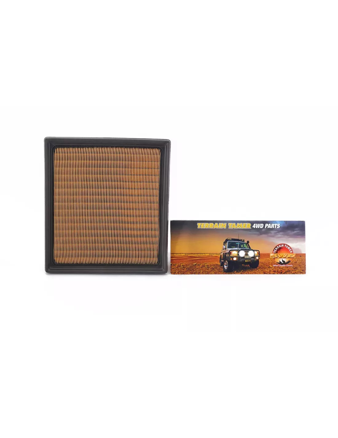Filtre à air Terrain Tamer 17801-31131