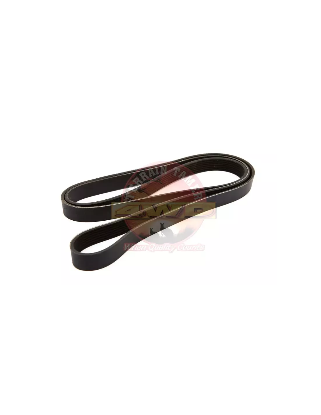 Courroie de ventilateur serpentine Terrain Tamer