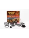 Kit de révision différentiel arrière Terrain Tamer