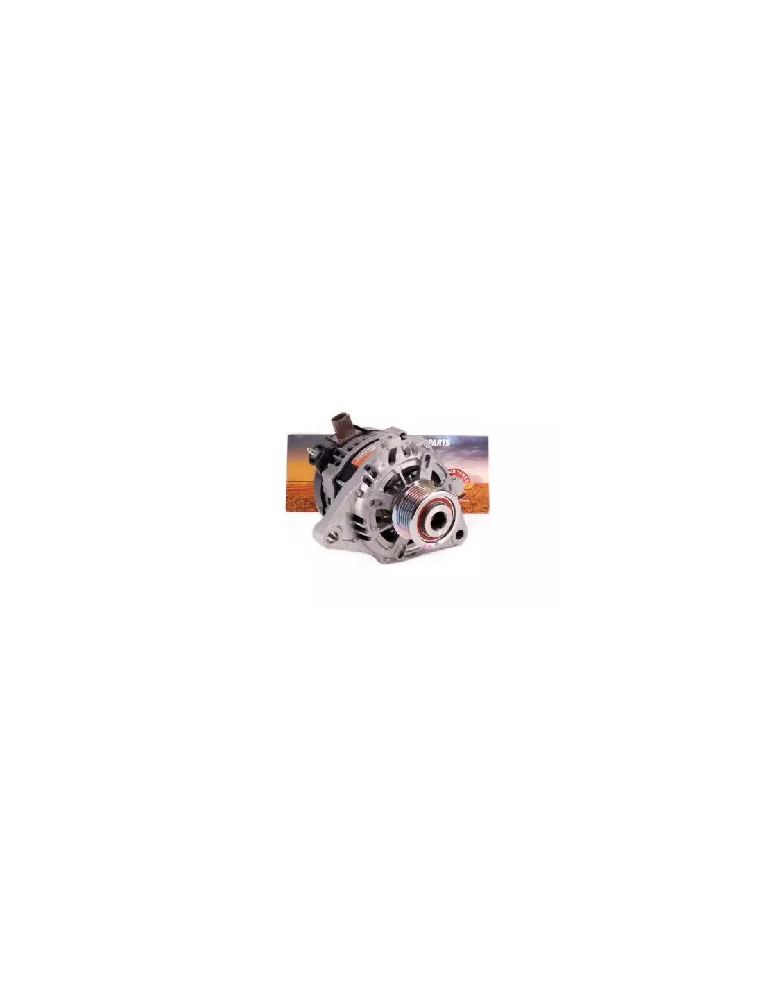 Alternateur 12V 100A Terrain Tamer