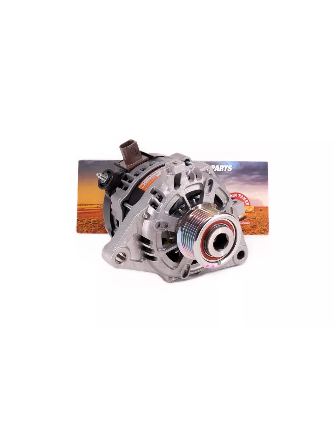 Alternateur 12V 100A Terrain Tamer