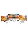 Kit joints boîte de direction assistée Terrain Tamer 04445-6