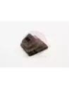 Soufflet de fourchette d'embrayage Terrain Tamer 31126-36070