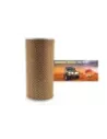 Filtre à air Terrain Tamer A1215