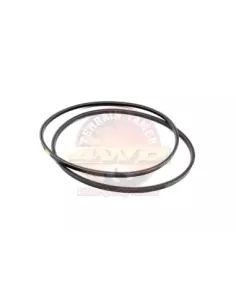 Courroie de ventilateur Terrain Tamer 90916-02573 2