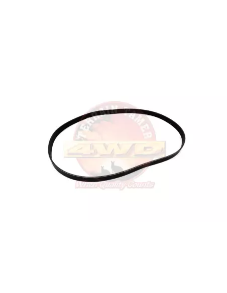 Courroie trapézoïdale crantée compatible A/C Terrain Tamer