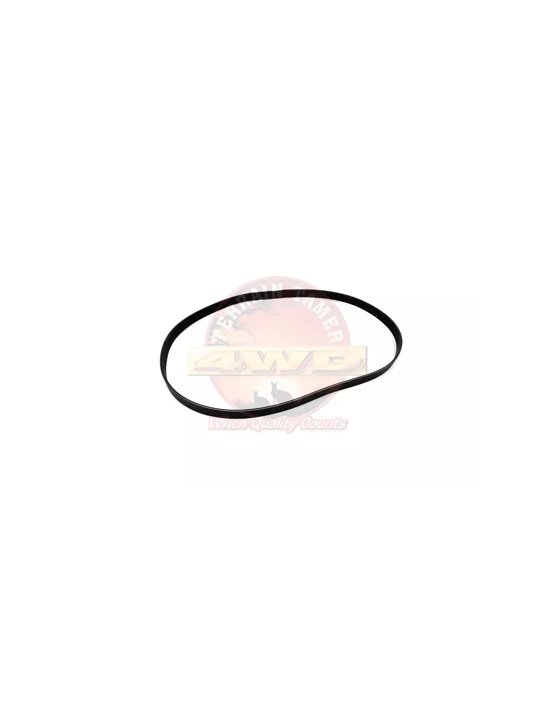 Courroie trapézoïdale crantée compatible A/C Terrain Tamer