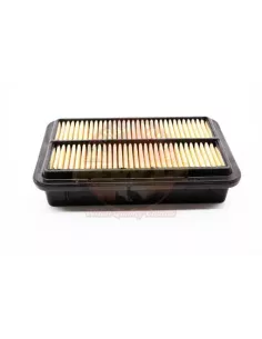 Filtre à air Terrain Tamer (A465) pour 4x4
