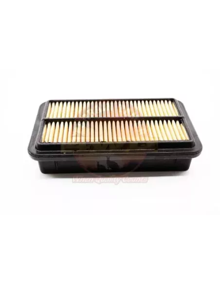 Filtre à air Terrain Tamer (A465) pour 4x4
