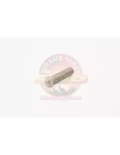 Boulon pivot de direction Terrain Tamer 90106-12005 2
