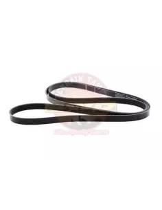 Kit courroie de ventilateur Terrain Tamer FBK56