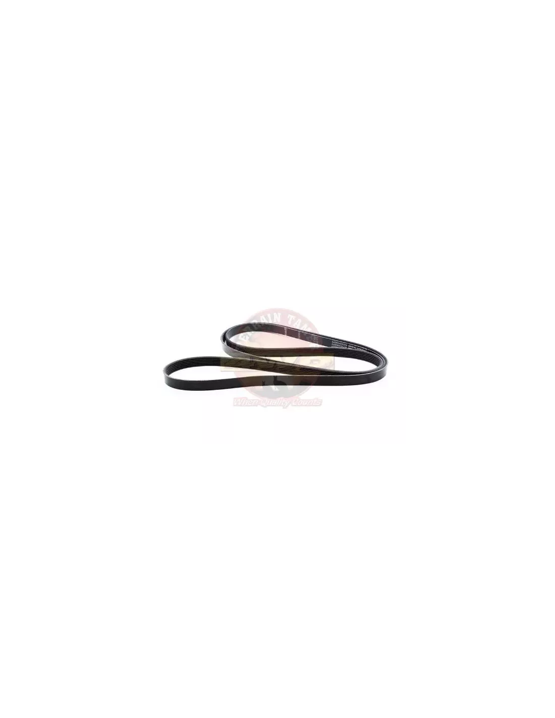 Kit courroie de ventilateur Terrain Tamer FBK56