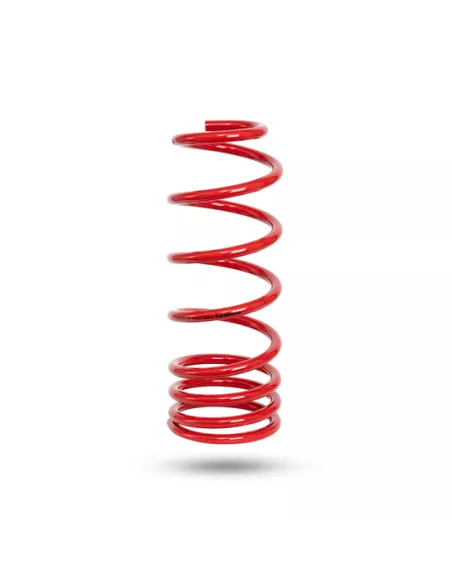 RESSORT ARRIERE PEDDERS EHD TOYOTA LC250