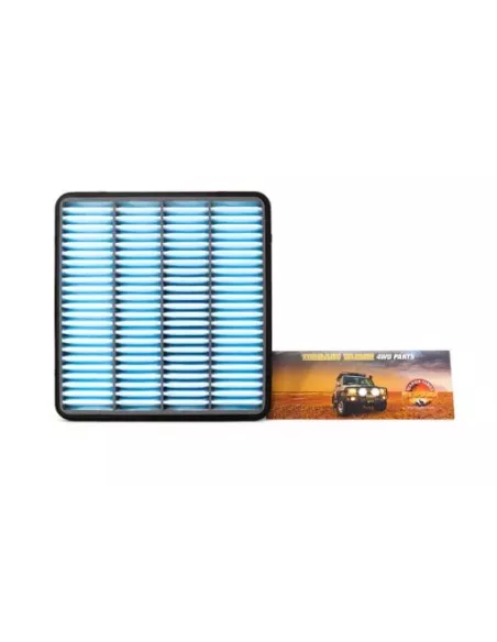 Filtre à air Terrain Tamer 17801-38030