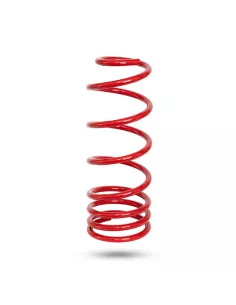RESSORT ARRIERE PEDDERS HD TOYOTA LC250