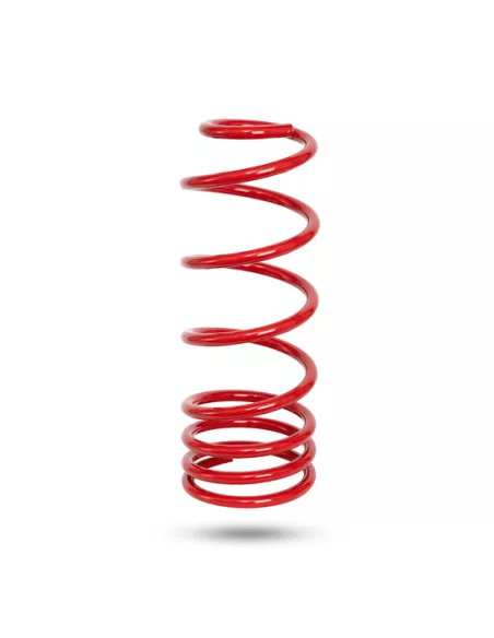 RESSORT ARRIERE PEDDERS HD TOYOTA LC250