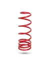 RESSORT ARRIERE PEDDERS HD TOYOTA LC250