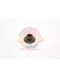 Écrou support radiateur Terrain Tamer 90179-08195 2