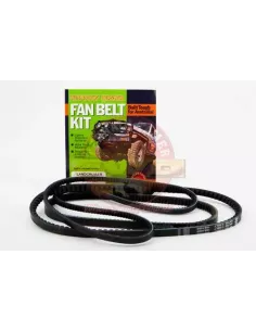 Kit courroies ventilateur, DA et climatisation Terrain Tamer