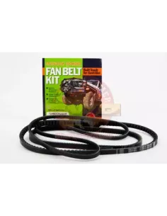 Kit courroies ventilateur, DA et climatisation Terrain Tamer 2