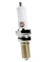 Bougie DENSO Nickel Double Pointe Terrain Tamer