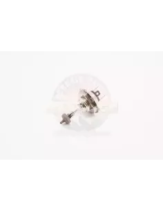 Ampoule phare 12V 60/55W Terrain Tamer