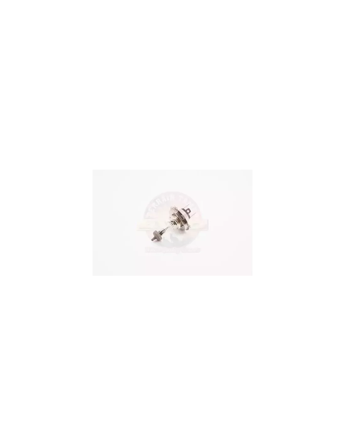 Ampoule phare 12V 60/55W Terrain Tamer