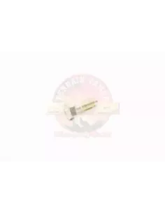 Boulon fixation essieu arrière 12-1.25PX33-21 Terrain Tamer 2