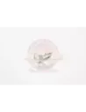 Boulon raccordement conduite pression direction assistée Ter