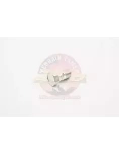 Boulon raccordement conduite pression direction assistée Ter 2