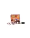 Kit roulement de roue arrière Terrain Tamer WBK38
