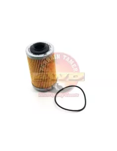 Filtre à huile Terrain Tamer R2605P
