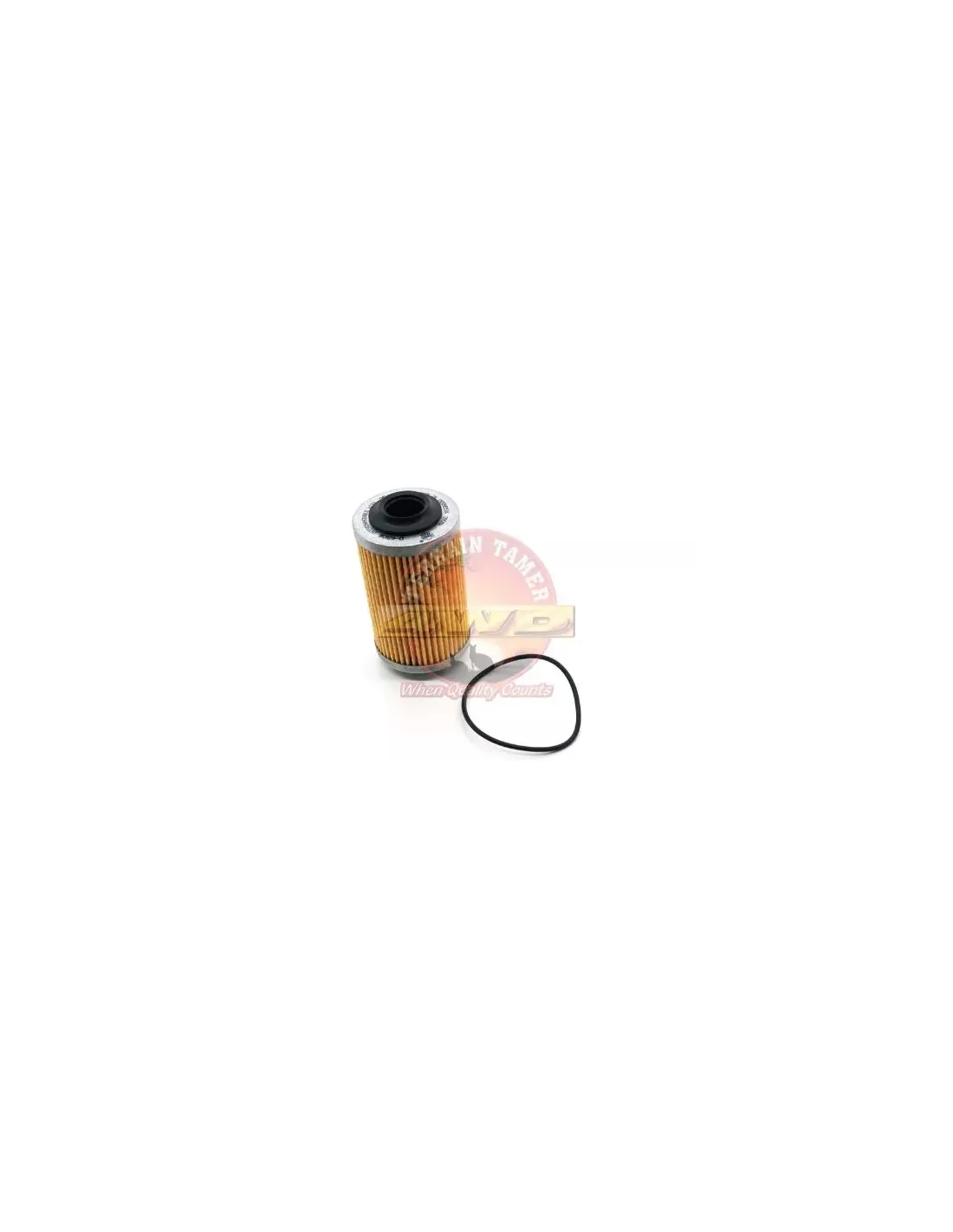 Filtre à huile Terrain Tamer R2605P