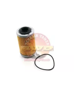 Filtre à huile Terrain Tamer R2605P 2