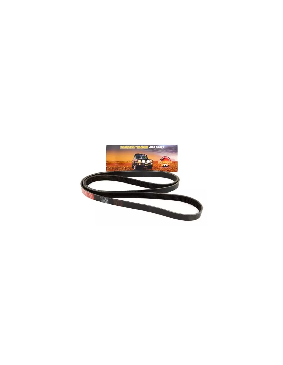 Courroie d'accessoires V6 6VE1 3.5L essence Terrain Tamer
