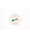 Boulon fixation central de différentiel Terrain Tamer L 37