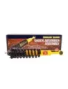 Jeu amortisseurs ressorts hélicoïdaux rehaussés 40mm 50kg Te
