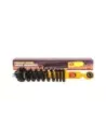 Amortisseurs Coil Over surélevés 40mm Terrain Tamer - paire
