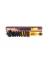 Amortisseurs Coil Over surélevés 40mm Terrain Tamer - paire