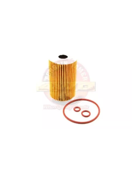 Filtre à huile 2.0L TDI 2HA 2HB S1B Terrain Tamer