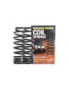 Ressorts hélicoïdaux arrière rehaussés 45-50mm Terrain Tamer