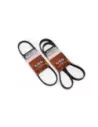 Kit de courroie Terrain Tamer P703 pour Ranger YN2S 06/22-