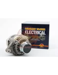 Alternateur 12V 70A Terrain Tamer
