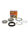 Kit roulement de roue avant Terrain Tamer WBK3079